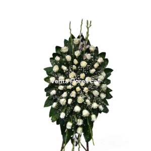 Arreglo Funebre 8
