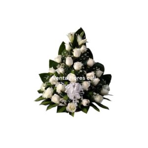 Abanico Fúnebre Cali