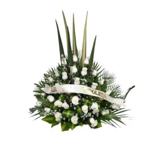 Abanico Fúnebre Eco