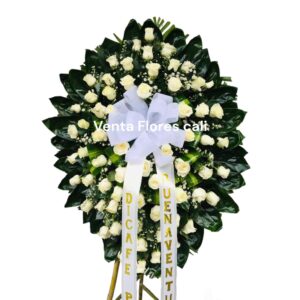 corona funebre rosas blancas