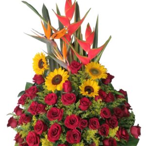 Arreglo floral con 3 docenas de rosas rojas.
